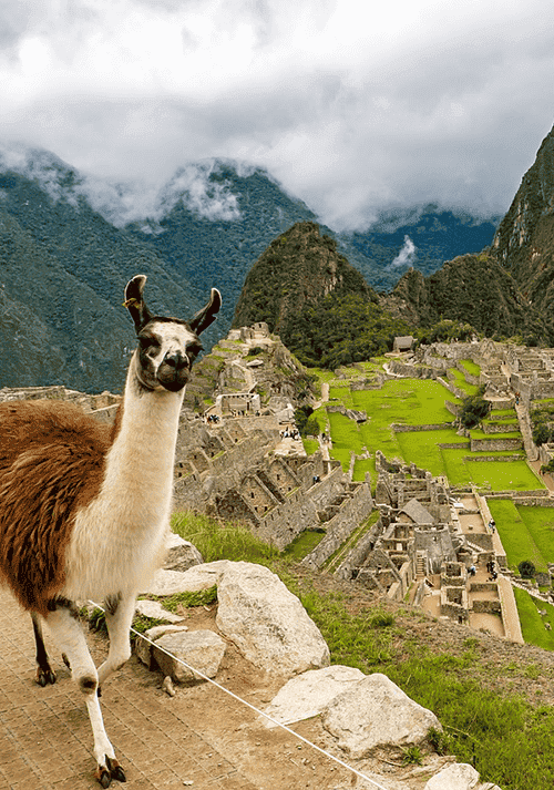 Travel to Peru
