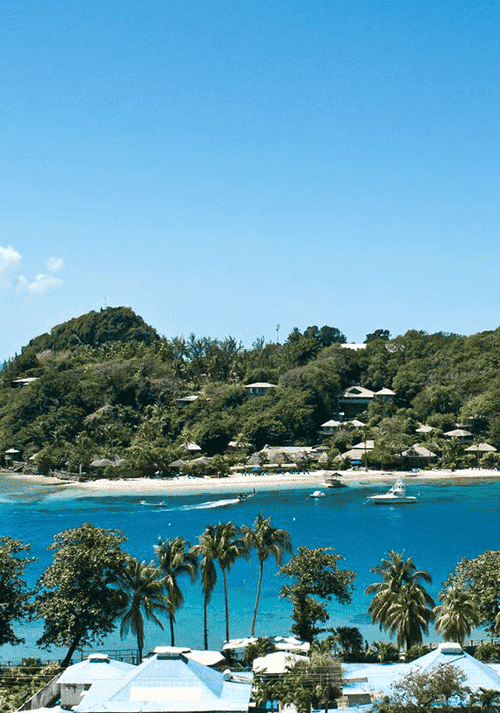 Travel to St. Vincent & Grenadines